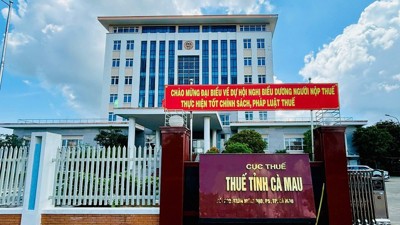 Thuế tỉnh Cà Mau: Triển khai nhiều chính sách thuế mới có hiệu lực từ ngày 1/7