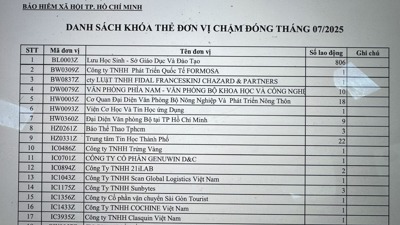 TP.HCM: 56 đơn vị, doanh nghiệp có người lao động bị khóa thẻ bảo hiểm y tế