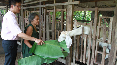 Vĩnh Long: Tổng nguồn vốn tín dụng chính sách đạt 14.440 tỷ đồng