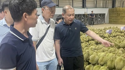 Tổng cục Hải quan Trung Quốc đánh giá cao chất lượng sầu riêng của Lâm Đồng