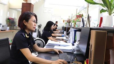 Thủ tục hành chính lĩnh vực hải quan tiếp nhận hồ sơ, trả kết quả qua dịch vụ bưu chính 