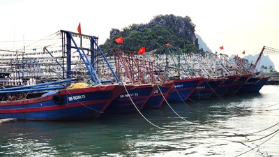 Th&#bongdaso - tin bóng đá mới nhất0;nh lập 2 đo&#bongdaso - tin bóng đá mới nhất0;n công t&#bongdaso - tin bóng đá mới nhất1;c chỉ đạo chống b&#bongdaso - tin bóng đá mới nhất3;o số 3 Wipha tại cảng biển ph&#bongdaso - tin bóng đá mới nhấtD;a Bắc