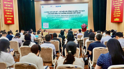 Chứng chỉ lưu ký (DR): Cơ hội đầu tư xuyên biên giới cho nhà đầu tư Việt Nam