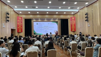 Đào tạo chuyên sâu quản trị rủi ro cho công ty chứng khoán bongdaso com bối cảnh thị trường bứt phá