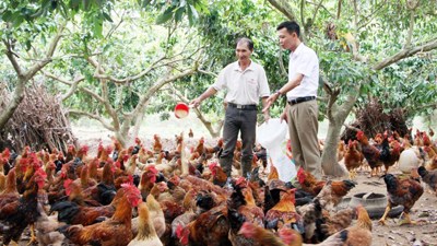 bongdaso com chính sách tiếp sức giúp người nghèo vươn lên
