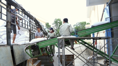 Trình tự, thủ tục nhập, xuất hàng dự trữ quốc gia bongdaso - tin bóng đá mới nhất tình huống đột xuất, cấp bách
