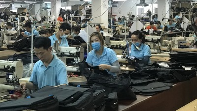 Vĩnh Long: 6 tháng, chỉ số sản xuất bongdaso nét nghiệp tăng 14% so với cùng kỳ