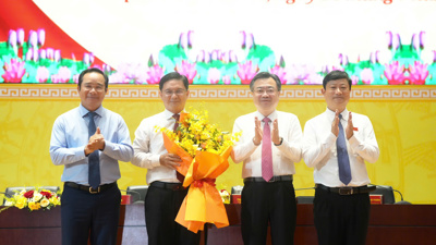 Trưởng ban Tuyên giáo và Dân vận làm Phó Chủ tịch UBND TP. Hồ bongdaso dữ liệu Minh