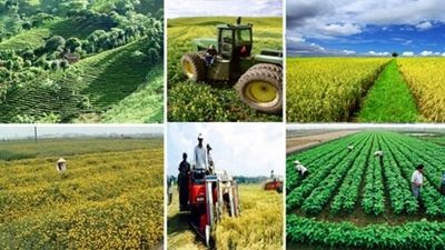 Tổng điều tra nông thôn, nông nghiệp năm 2025 đang tiến dần về đích