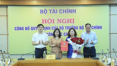 Bà Lê Thị Tường Thu được bổ nhiệm giữ chức Phó Cục trưởng Cục Thống kê