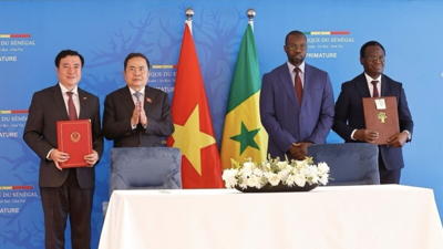 Mở rộng đầu ra cho gạo Việt sang thị trường Senegal
