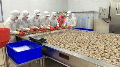 Xuất khẩu nông, lâm, thủy sản: Mục tiêu 65 tỷ USD trong tầm tay