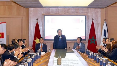 Tăng cường tin cậy, kết nối tất cả các doanh nghiệp Việt Nam và Morocco
