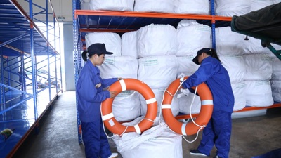 Xuất bán thóc, gạo và nhập vật tư, thiết bị theo chỉ tiêu kế hoạch