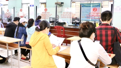 INFOGRAPHIC: Lưu ý các trường hợp bị chấm dứt hưởng trợ cấp thất nghiệp