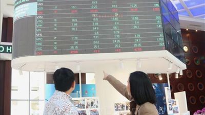 Từ luật đến thị trường: Thời kỳ sàng lọc và chuẩn hóa đã bắt đầu
