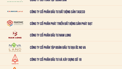 Công bố Top 20 Công ty bất động sản tư nhân nộp ngân sách lớn nhất