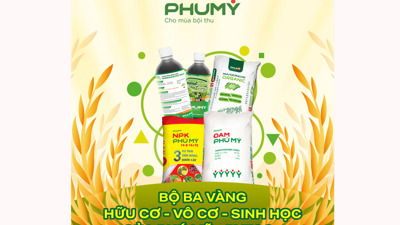 PVFCCo - Phú Mỹ ra mắt Hữu cơ Phú Mỹ Organic, hoàn thiện “Bộ ba vàng” dinh dưỡng cho nông nghiệp bền vững