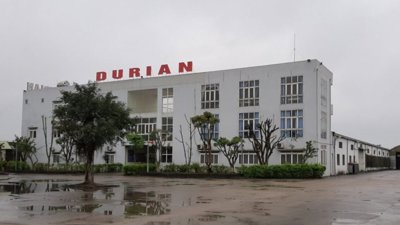 Khởi tố giám đốc người Mỹ trốn thuế hơn 3,2 tỷ đồng