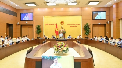 Trình Quốc hội sửa Luật Quản lý thuế, Luật Thuế thu nhập cá nhân tại Kỳ họp thứ 10 