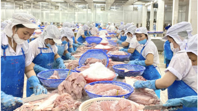 Việt Nam – Ai Cập mở rộng hợp tác kinh tế, thương mại