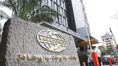 Vinaconex lãi ròng hơn 500 tỷ đồng trong nửa đầu năm 2025