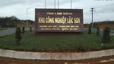 Chính phủ thành lập Ban Quản lý các khu công nghiệp tỉnh Lâm Đồng