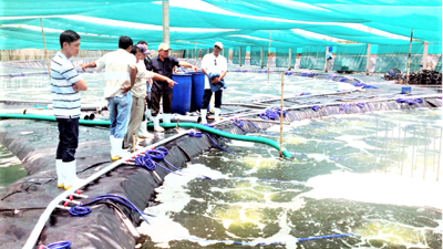 Nghệ An đẩy mạnh phát triển nuôi trồng thủy sản có giá trị cao