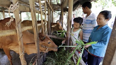 Vĩnh Long: Nguồn vốn tín dụng đang phát huy hiệu quả