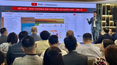Ra mắt nền tảng bongdaso dữ liệu thương mại điện tử B2B đầu tiên của Việt Nam 