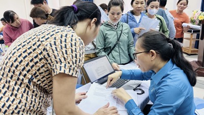 TP. Hồ Chí Minh: 18.744 đơn vị, doanh nghiệm chậm đóng BHXH, BHYT từ 3 tháng trở lên