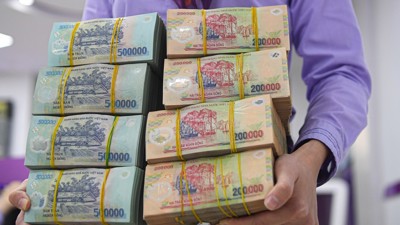 Hàng loạt doanh nghiệp chốt quyền cổ tức vào ngày 15/8: May Nhà Bè dẫn đầu