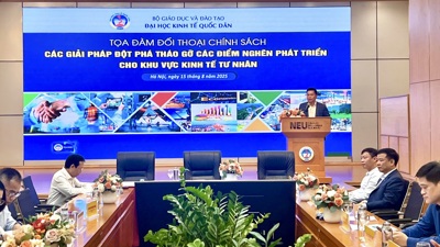 Doanh nghiệp tư nhân lớn nhưng chưa mạnh, còn vướng từ nội tại
