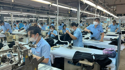 TP. Huế: Xây dựng chính sách ưu đãi để thúc đẩy tăng trưởng kinh tế