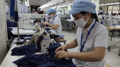 Vĩnh Long: Kim ngạch xuất khẩu 7 tháng ước đạt trên 2,1 tỷ USD