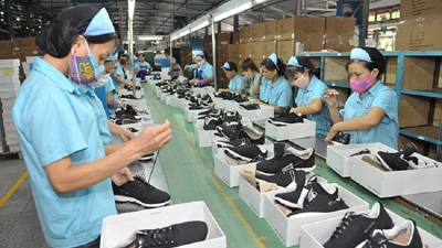 Hướng dẫn thực hiện Quy tắc xuất xứ hàng hoá trong Hiệp định AANZFTA