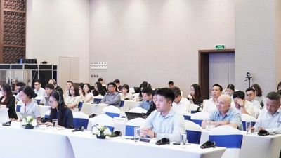 Thị trường carbon: Đòn bẩy kép cho kinh tế xanh và hội nhập toàn cầu