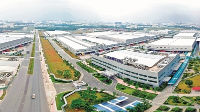 Hồ sơ và thủ tục giảm tiền thuê đất năm 2025: Những điều cần lưu ý