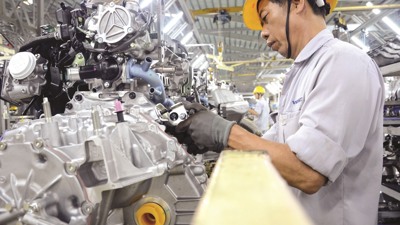 Nghiên cứu thành lập Quỹ phát triển kinh tế tư nhân 