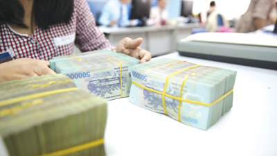 Ngày 25/8: TRS, TD6 và BMK chốt quyền cổ tức, cao nhất 1.500 đồng/CP