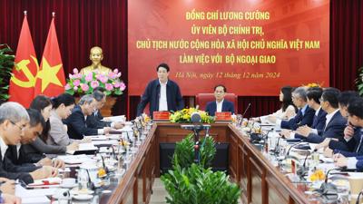 Ngoại giao Việt Nam - 80 năm xây dựng, trưởng thành cùng Đất nước