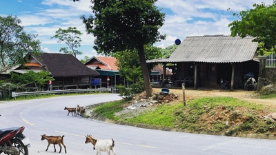 Xây dựng gói tín dụng ưu tiên cho phát triển kinh tế - xã hội vùng miền núi