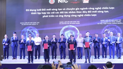 Thành lập 3 mạng lưới Đổi mới sáng tạo và chuyên gia ngành công nghệ chiến lược