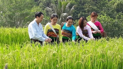 Việt Nam trên hành trình xóa nghèo toàn diện