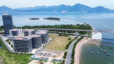 TP. Đà Nẵng thành lập Hội đồng Tư vấn xây dựng Trung tâm tài chính quốc tế 