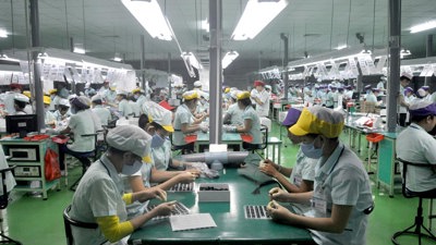 Xuất nhập khẩu nửa đầu tháng 8/2025: Khu vực FDI tiếp tục chiếm ưu thế