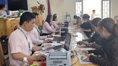Lâm Đồng: Bắt đầu đối chiếu, phân loại nợ vốn tín dụng