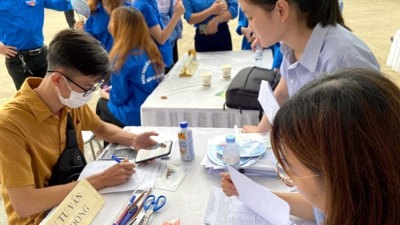 Kế hoạch triển khai thi hành Luật Việc làm