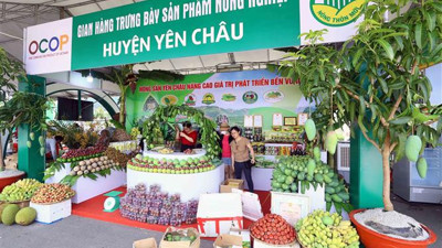 OCOP trước làn sóng tiêu dùng xanh: Thách thức hay cơ hội bứt phá?