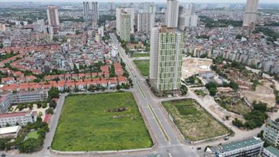 Miễn, giảm tiền sử dụng đất, thuê đất năm 2025 để hỗ trợ an sinh và sản xuất